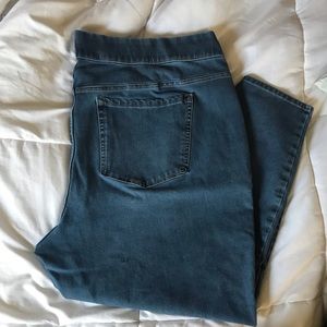 Lane Bryant High Rise Jeggings Size 28